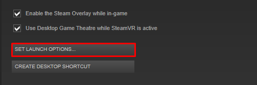 The launch options button for the game's Steam properties